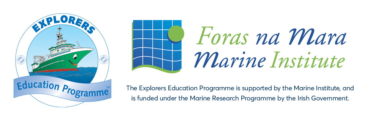 Explorers Education Programme :: seashorekids.ie